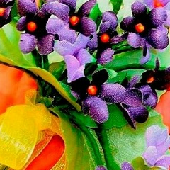 Диляра Тураханова, 17.11.1991, Шымкент