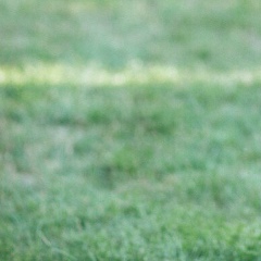 Паша Чумак, 21.05.1991, Киев