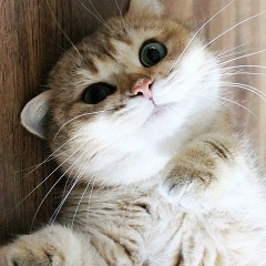 Жанна Тизекова, 26.03, Омск