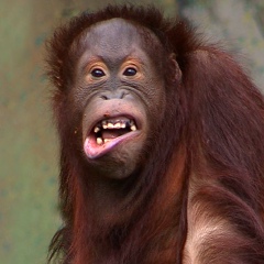 Дмитрий Петренко, 09.12.1980, Днепр (Днепропетровск)