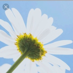 Гульназ Баянова, 19.11.1987, Алматы