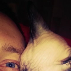 Михеев Fil, 11.09, Москва