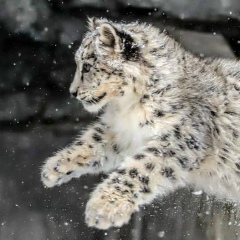 Олег Жадецкий, 10.02.1996