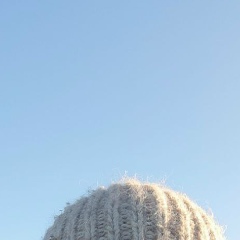 Анжелика Тихомирова, 30.11, Москва