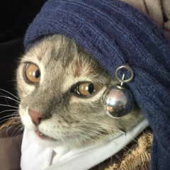 Афанасий Борщов, 01.04.1983, Тверь