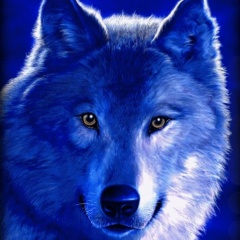 Nurken Jusipbaev, 22.03.1982, Шардара