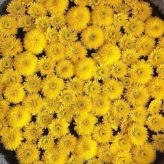 Меруерт Журтбаева, 04.01.1996