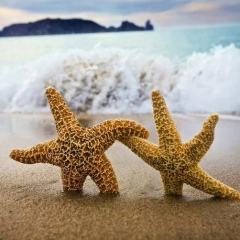 Ирина Перышкова, 08.04, Самара