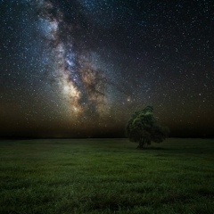 Алмас Ташмихов, 01.01, Алматы