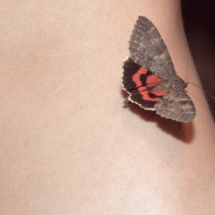 Мария Лизунова, 12.08, Санкт-Петербург