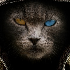 Александр Адарченко, 12.04, Ростов-на-Дону