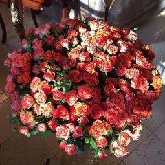 Дания Сапарова, 06.03.1989, Алматы