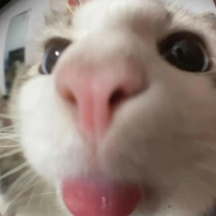 Кто Кто, 22.02, Москва