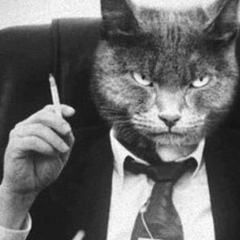 Ленур Усеинов, 11.11.1981, Doha