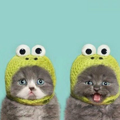 Алина Прохорова, 07.02.1999, Москва