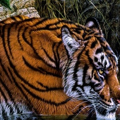 Еркебулан Жакеев, 06.11, Алматы