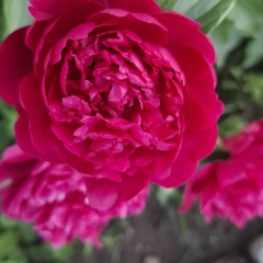 Светлана Анатольевна, Ишимбай