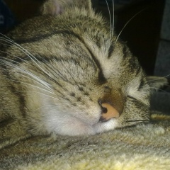 Владимир Портнов, 27.09, Чита