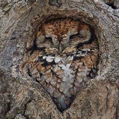 Камшат Карлыбаева, 08.10.1975