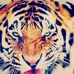 Бахтияр Скендиров, 18.02.1990, Алматы