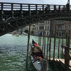 Jamal Safarov, 20.01, Dubai