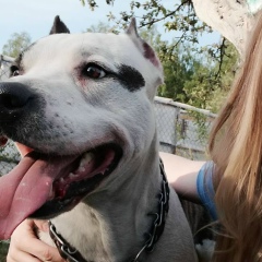 Карина ....., 08.05.1988