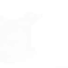 Жалгас Жаксылыков, Тараз