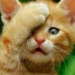 Борис Пьянков, 20.04, Москва