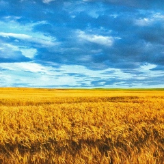 Анна Корхова, 02.11.1988, Одесса