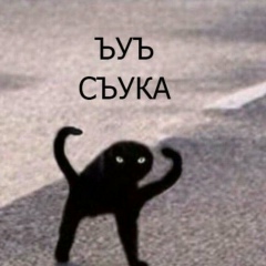 Костя Шкраба