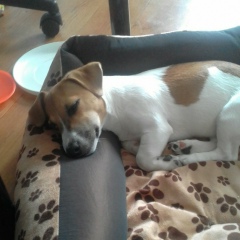 Настя Белых, 25.04.2005, Москва