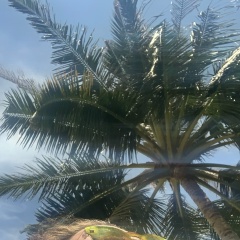 Полина Зверева, 05.01.1987, Москва