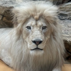 Альфия Мухина, Уфа