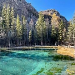 Артём Кузин, 17.11.1990, Барыш