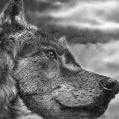 Мухайр Иресханов, 11.10.1990, Грозный