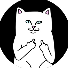 Алексей Девин, 08.01, Москва