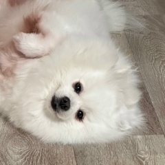 Ульяна Дряничкина, 22.04, Нижнекамск