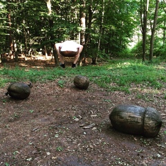 Дима Антонов, Москва