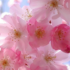 Тетяна Корнійчук, 25.01