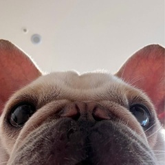 Сергей Ядров, Ногинск