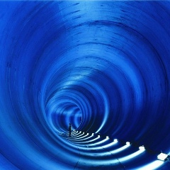 Dosbol Kosherbaev, Шымкент