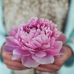 Nadya Lysenko, 22.04.1988, Владикавказ