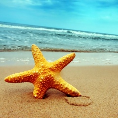 Настасья Клим, 13.09, Москва