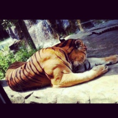 Али Бадыргов, 28.02.1992, Москва