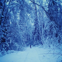 Антон Софьин, 28.10.1985, Москва