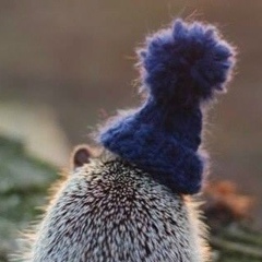 Александр Фролов, 29.07.1980, Москва