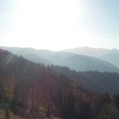 Андрій Гаразд