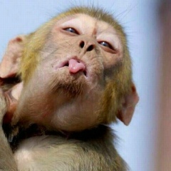 Алеся Корзун, Ханты-Мансийск