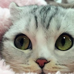 Лена Марцинковская, 15.01, Сумы