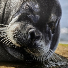Александр Копачинский, 08.10, Москва